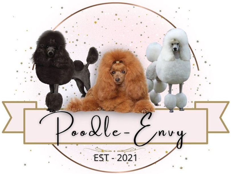 Poodle Envy
